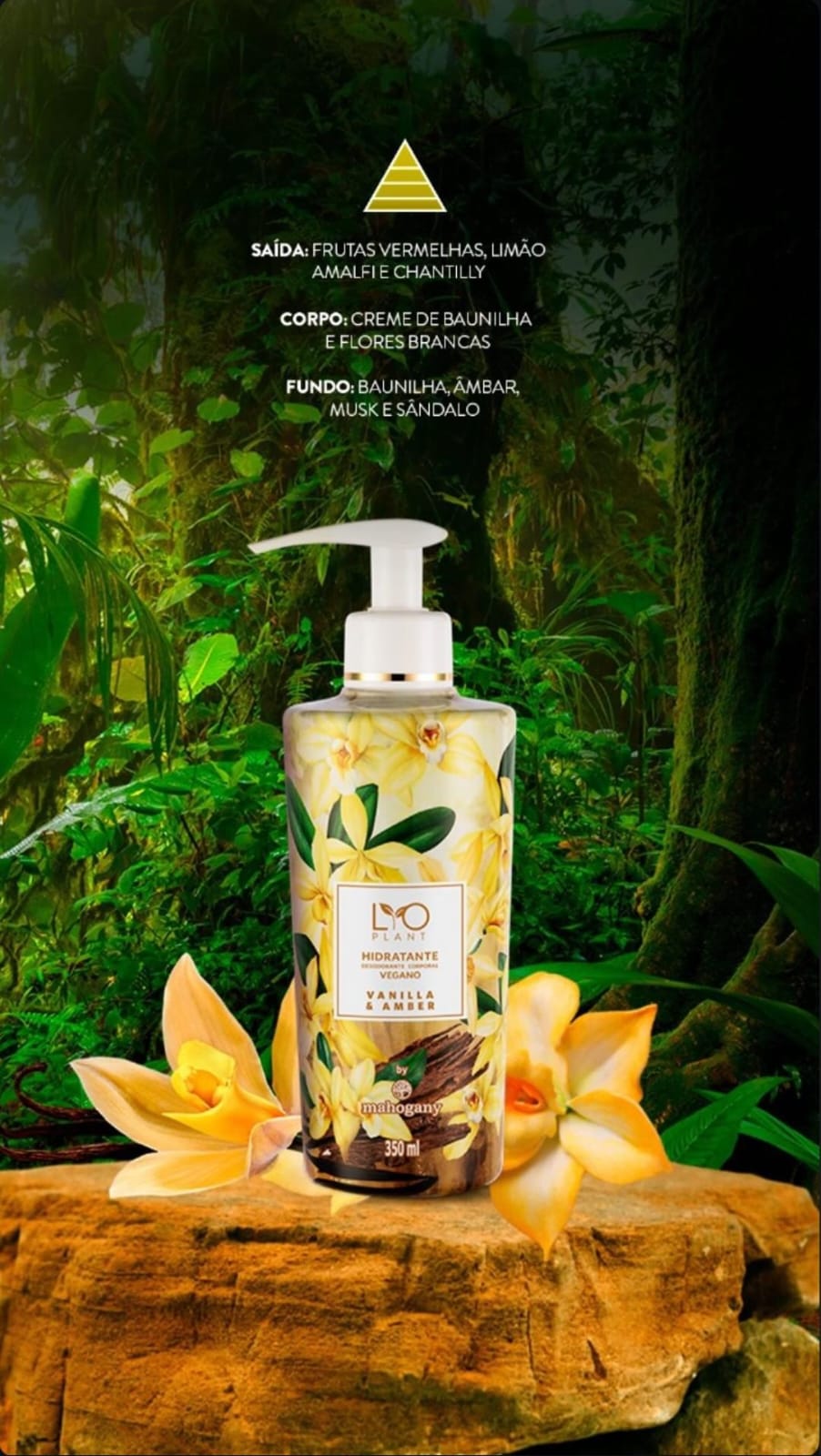 Hidratante Vanilla e Amber